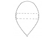 rose leaf - 5772